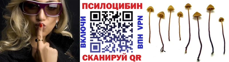 Галлюциногенные грибы мухоморы  Называевск 